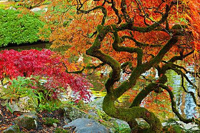 能买18+游戏不能聊天？Xbox在英国新增年龄验证机制