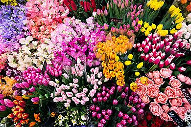 诚意满满 《刺客信条：英灵殿》免费内容更新路线图