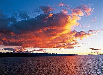 《使命召唤：现代战争3》Steam多半差评 好评率仅28%